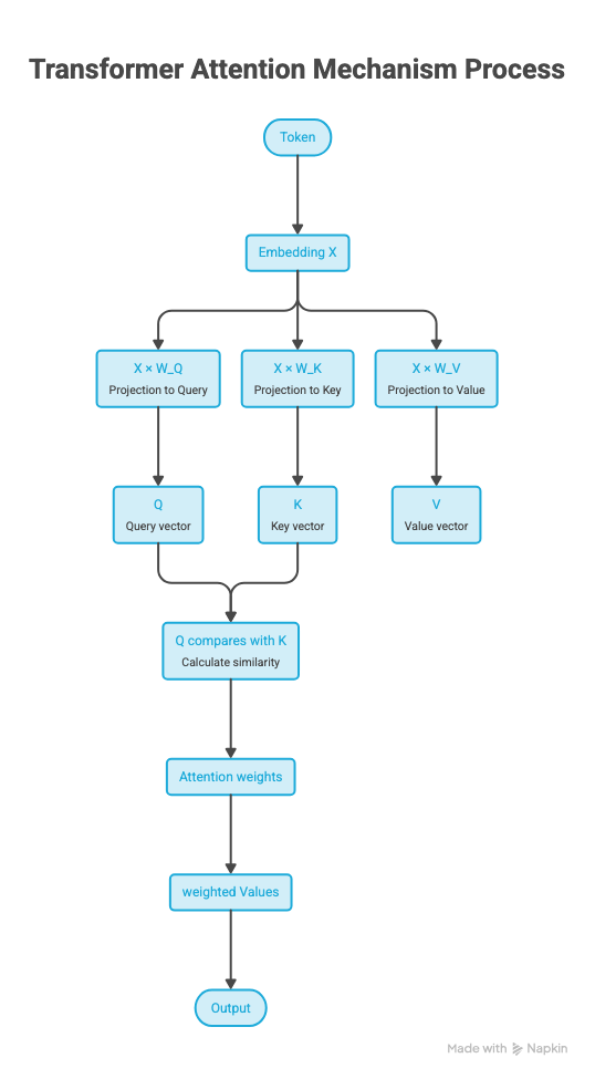 Flow from a token through its embedding, the Q, K and V projections, attention scores and softmax, to the final weighted output